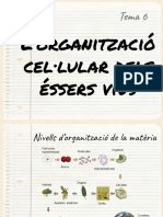 L'Organització Cel Lular Dels Éssers Vius