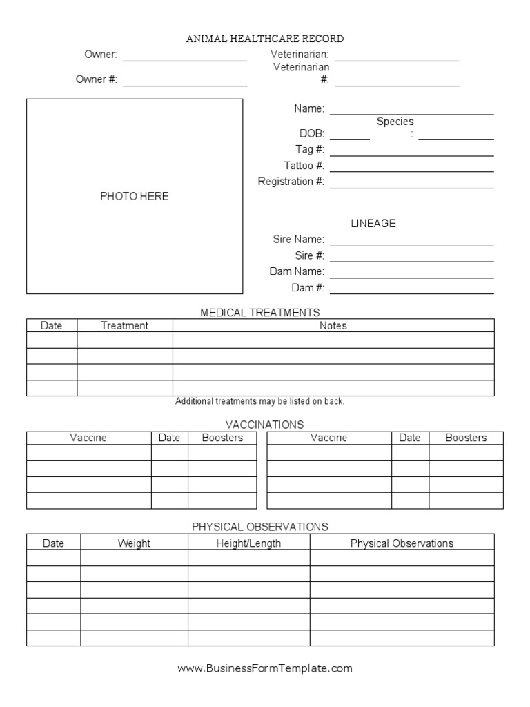 Animal Health Record Template | PDF