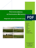 1.1.3-Diagnostic Agricole Et Forestier