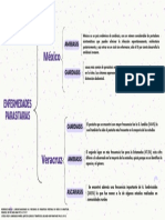 Cuadro Sinoptico Parasitología