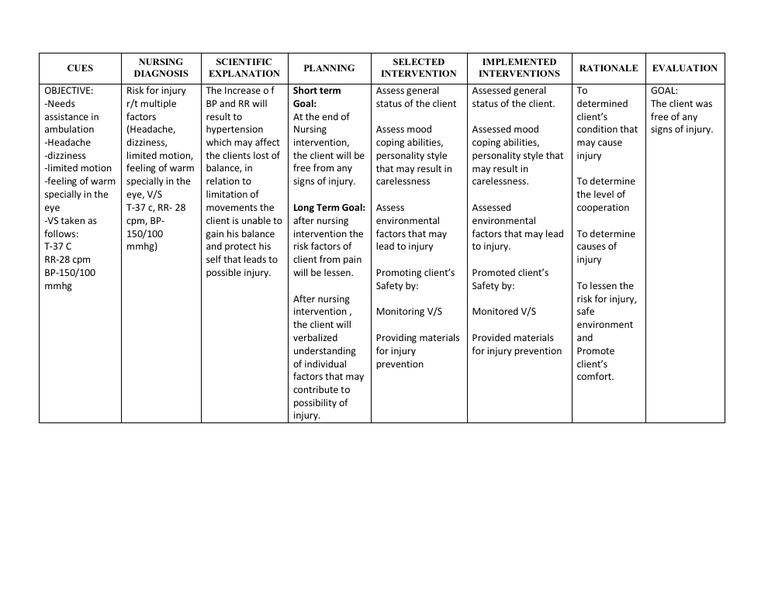 Nursing Care Plan for Injury Risk | PDF | Risk | Behavioural Sciences