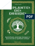 Les Plantes Des Druides by Florence Laporte