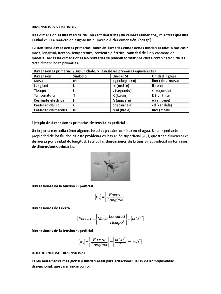 Dimensiones y Unidades Físicas | PDF | Masa | Mecanica clasica