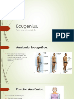 Planos Anatomicos