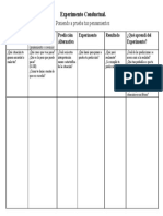 Formato 13. Experimento Conductual