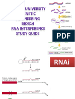 Rna Interference Final