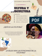 Culturas y Subcultura