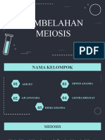 Erwin, Pembelahan Meiosis