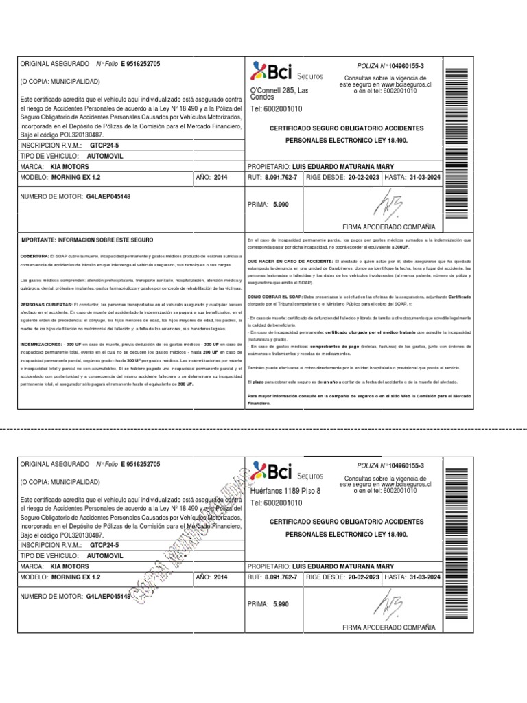 Seguro Obligatorio 2024 PDF Seguro