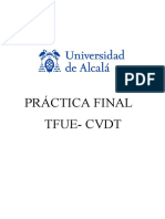 Práctica Evaluable Derecho Inernacional (Tfue-Cvdt)