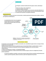 BQ t21-22 - Oxidación de Aminoácidos y Producción de Urea