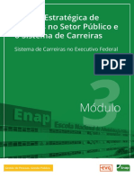 Módulo 3 - Sistema de Carreiras No Executivo Federal