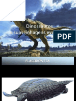 13 Evolução Dos Dinossauros