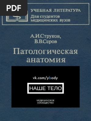 Strukov Serov Patan | PDF