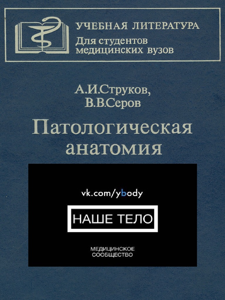 Strukov Serov Patan | PDF