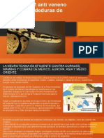 Crea UNAM Anti Veneno Contra Mordeduras de Serpiente
