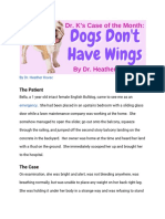 Dogs Dont Have Wings