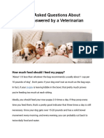 Frequently Asked Questions About Puppies Answered by A Veterinarian