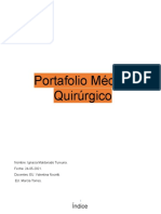 PORTAFOLIO MQ