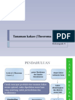 Cara Budidaya Tanaman Kakao yang Efektif