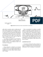 Cirugia Pediatrica Rostion.-262-268