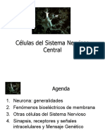 2 Clase Neuro 2 2016-2