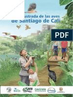 Guía Ilustrada de Las Aves de Santiago de Cali