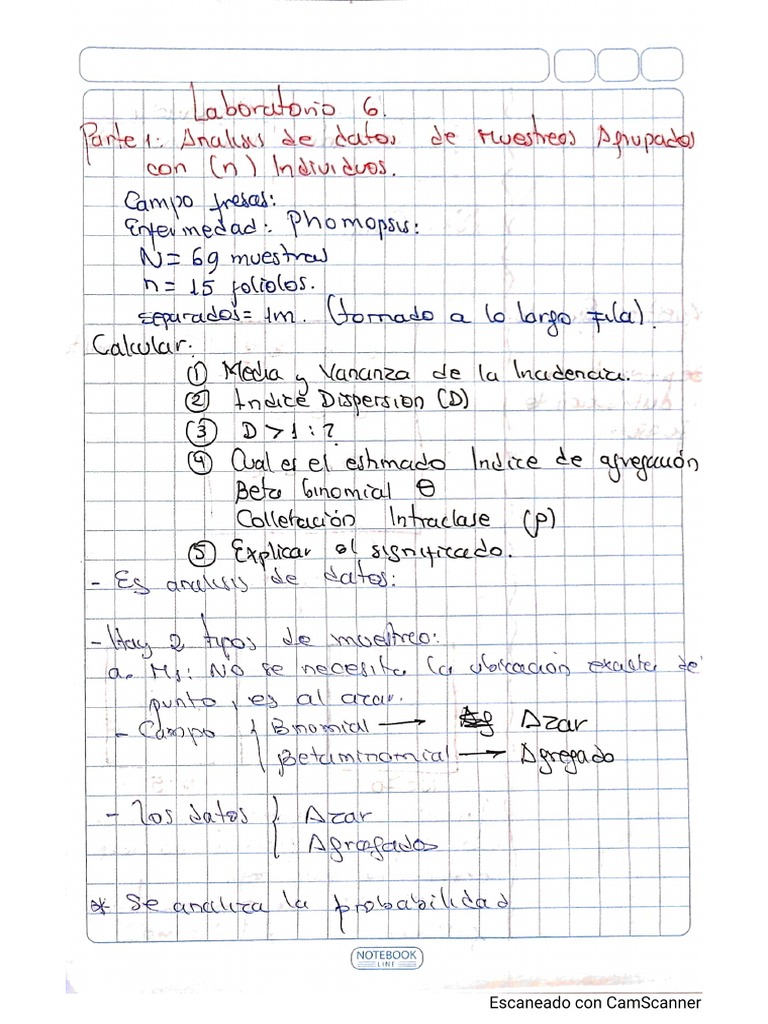 6 Practica6 | PDF