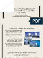 Aplicación DIDH PGD (Pablo González)