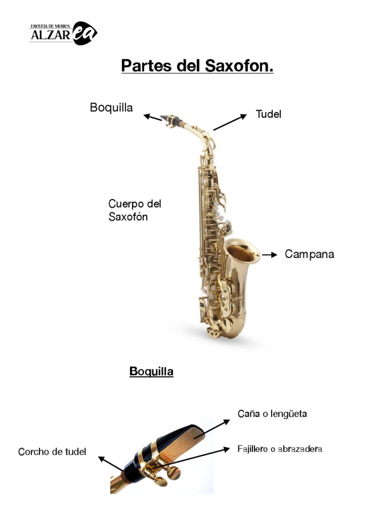 Partes del Saxofón: Guía Completa | PDF