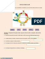 Ciclo Celular Dic