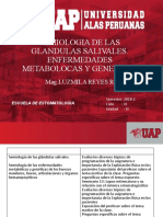 15.-Semiologia de Las Glandulas Salivales y Enfermedades Metabolicas