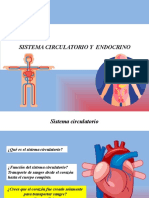 EXPOSICION Sistema Circulatorio y Endocrino