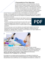 Viajar Con Perros Gatos Y Hurones M?s Informaci?n Y Preguntas Usuales Ligqe