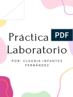 Práctica de Laboratorio