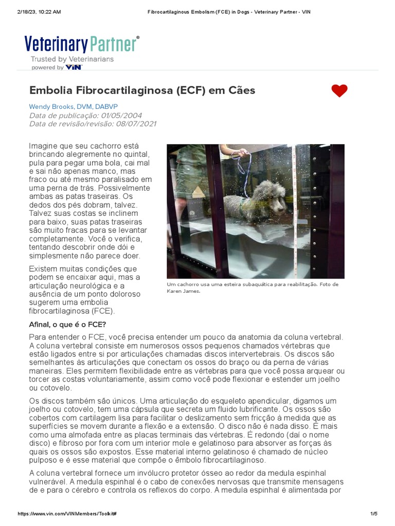 Embolia Fibrocartilaginosa (ECF) em Cães | PDF | Cães | Imagem de ...