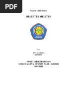 Download Eni Makalah Diabetes Melitus by Risna Kurnia SN62759734 doc pdf