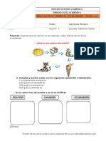 Cadenas y Redes Troficas