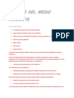 Acciones para Cuidar El Medio Ambiente