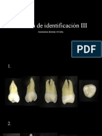 Practica III DE IDENTIFICACION