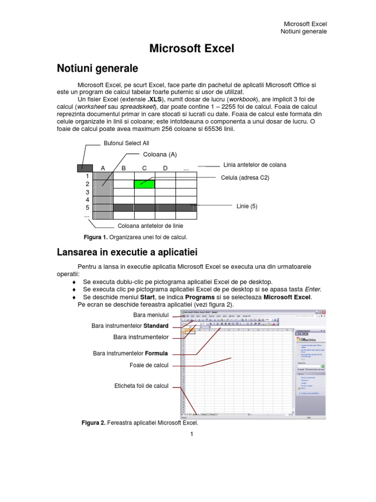 Excel Lectia 1 Generalitati