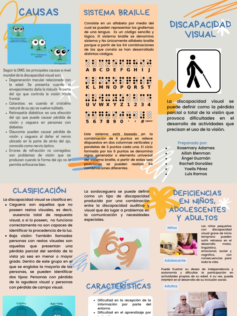 Causas de la Discapacidad Visual | PDF | Ojo humano | Percepción visual