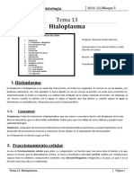 Tema 13 - Hialoplasma (1) Edit