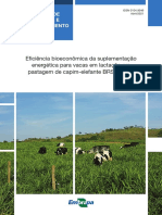 BOL-44-Eficiencia-bioeconomica-suplementacao-energetica-vacas