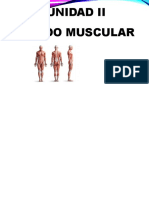 Clase XV - Tejido Muscular y Nervioso