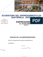 Ecosistema Dle Emprendimiento en Guatemala, Segunda Parte