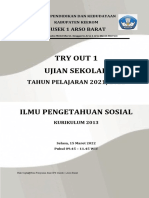 Try Out 1 IPS
