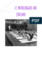 Pilates e Patologias Do Joelho