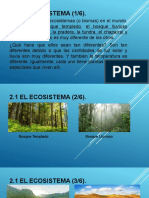 2.1 Ecosistemas - 2.2 Flujo de Energia y 2.3 Biósfera