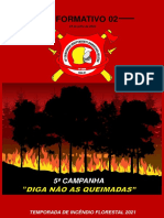 Incêndios florestais Juína 2021